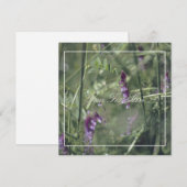 Schöne, blassviolette Blüten - Ihre Text-Flachkart (Vorne/Hinten)