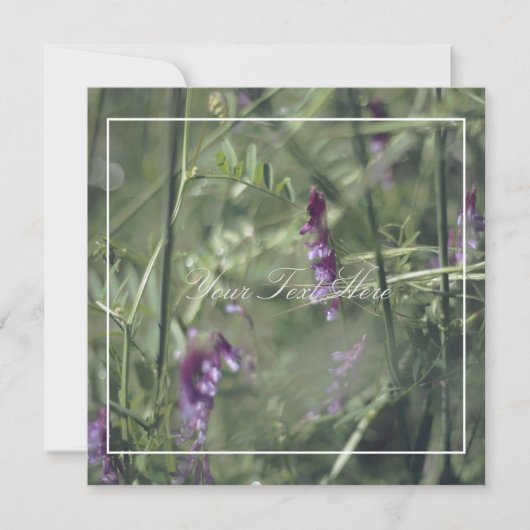 Schöne, blassviolette Blüten - Ihre Text-Flachkart (Vorderseite)