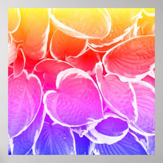 Schöne Blätter Kunst Poster (Vorne)