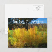 Schöne Blätter Postkarte (Vorne/Hinten)