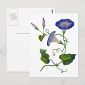 Schöne blaue bestickte Prunkwinden Postkarte (Vorne/Hinten)
