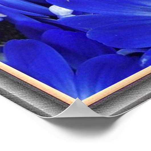 Schöne blaue Blumen Poster (Ecke)