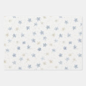 Schöne blaue Creme-Blumen-Geburtstag Geschenkpapier Set (Vorderseite)