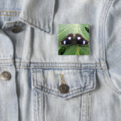 Schöne blaue Gepunktete Schmetterlingschaltfläche Button (Beispiel)