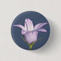 Schöne blaue Glocke-Blume