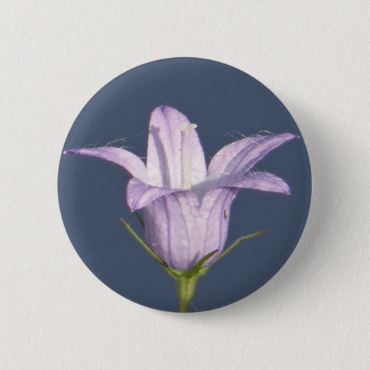 Schöne blaue Glocke-Blume Button (Vorderseite)
