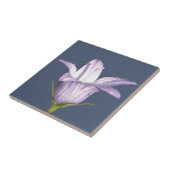 Schöne blaue Glocke-Blume Fliese (Seite)
