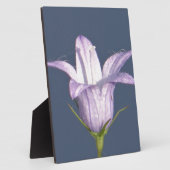 Schöne blaue Glocke-Blume Fotoplatte (Seite)