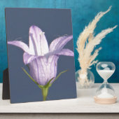 Schöne blaue Glocke-Blume Fotoplatte (Seite)