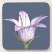 Schöne blaue Glocke-Blume Getränkeuntersetzer (Vorderseite)