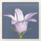 Schöne blaue Glocke-Blume Glasuntersetzer (Vorderseite)