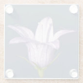 Schöne blaue Glocke-Blume Glasuntersetzer (Rückseite)