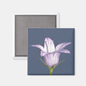Schöne blaue Glocke-Blume Magnet (Vorderseite/Rückseite)