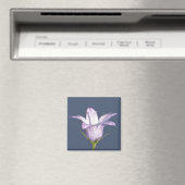 Schöne blaue Glocke-Blume Magnet (In Situ (Geschirrspüler))