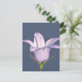 Schöne blaue Glocke-Blume Postkarte (Stehend Vorderseite)