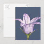 Schöne blaue Glocke-Blume Postkarte (Vorne/Hinten)