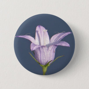 Schöne blaue Glocken-Blume Button