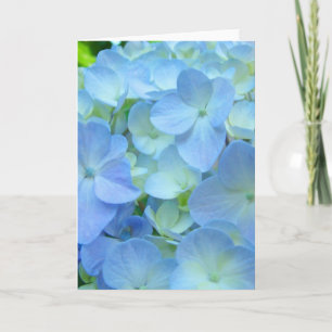 Schöne blaue Hortensien-Blumen-Feiertagskarten Feiertagskarte