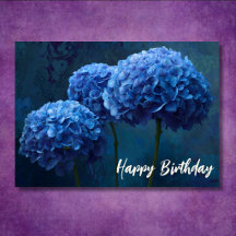 Schöne Blaue Hortensien Florale Botanische Geburts