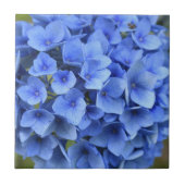 Schöne blaue Hortensienblüte Floral Fliese (Vorderseite)