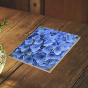 Schöne blaue Hortensienblüte Floral Fliese