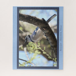 Schöne blaue Jay; Bird Lover's Puzzle