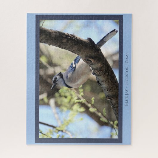 Schöne blaue Jay; Bird Lover's Puzzle (Vertikal)