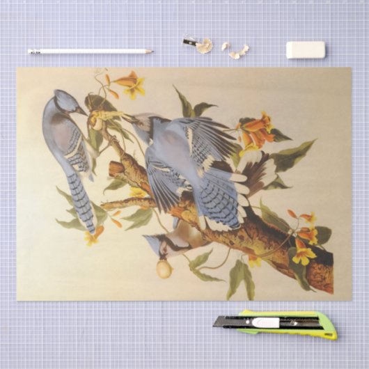 Schöne, blaue Jay decouvertierte Möbel Seidenpapier (Handwerk)