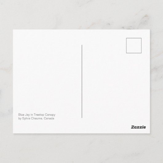 Schöne blaue Jay in Maple Quebec Kanada Postkarte (Rückseite)