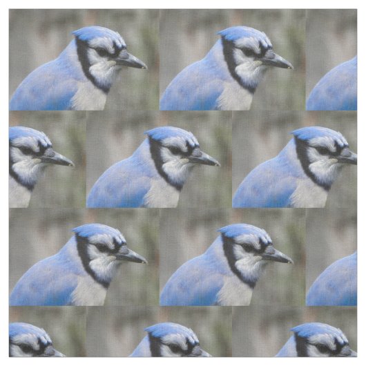 Schöne blaue Jay-Nahaufnahme Stoff (Muster)