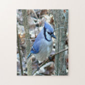Schöne blaue Jay Puzzle (Vertikal)