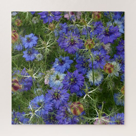 Schöne blaue Kornblumen Puzzle (Vertikal)