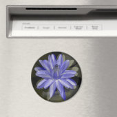 Schöne blaue Lilie...... Magnet (In Situ (Geschirrspüler))