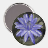 Schöne blaue Lilie...... Magnet (Vorderseite/Rückseite)