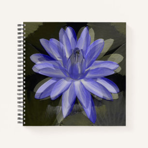 Schöne blaue Lilie...... Notizblock