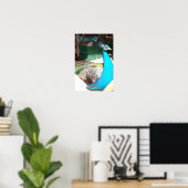 Schöne blaue Male Peacock Alter Stall Poster (Heimbüro)
