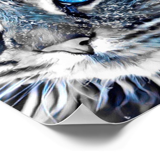 Schöne blaue mit Augen Katze Poster (Ecke)