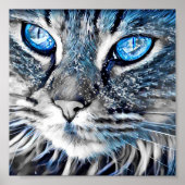 Schöne blaue mit Augen Katze Poster (Vorne)