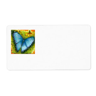 Schöne blaue Morpho