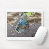 Schöne blaue Orange und schwarzer Schmetterling. Mousepad (Mit Mouse)