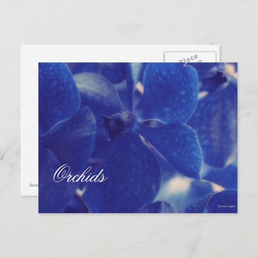 Schöne blaue Orchideen!, Blank Template Postcard Postkarte (Vorne/Hinten)