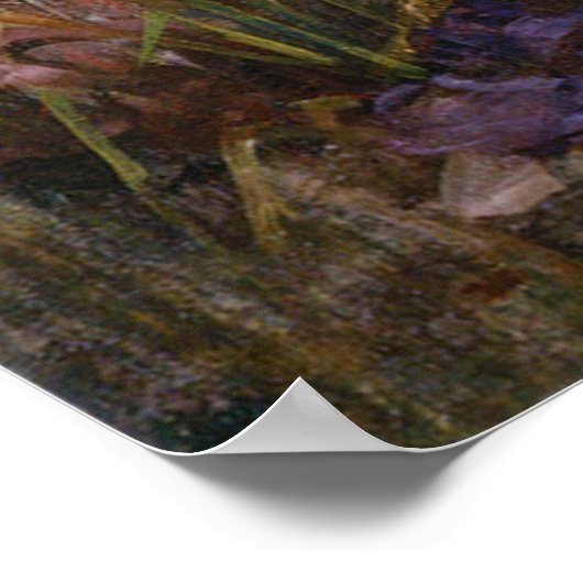 Schöne blaue Pandora Poster (Ecke)