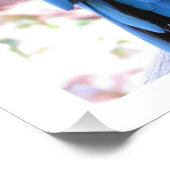 Schöne blaue Papagei-Fotografie Fotodruck (Ecke)