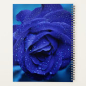 Schöne blaue Rose Planer (Rückseite)