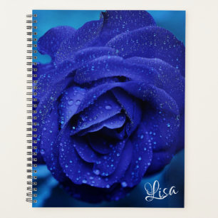 Schöne blaue Rose Planer