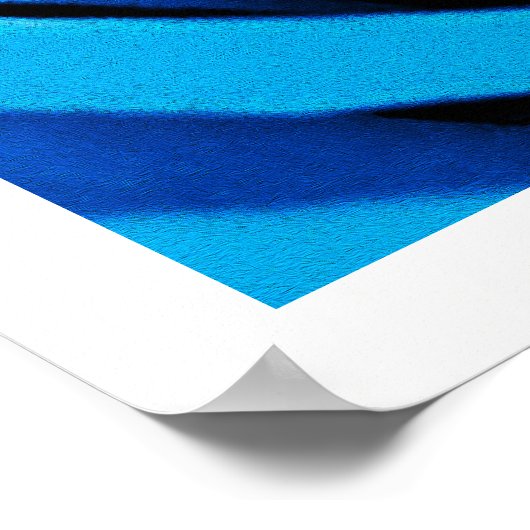 Schöne blaue Rose Poster (Ecke)