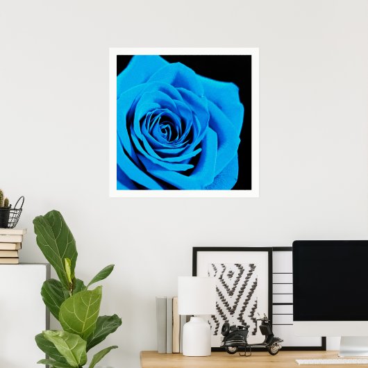 Schöne blaue Rose Poster (Heimbüro)