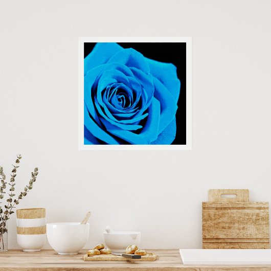 Schöne blaue Rose Poster (Küche)