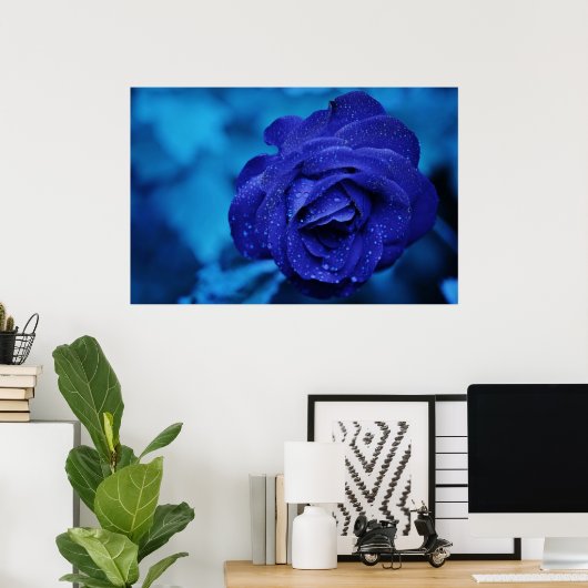 Schöne blaue Rose Poster (Heimbüro)