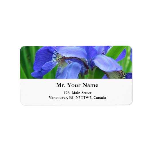 schöne blaue Schwertlilienblumen Adressaufkleber (Vorne)